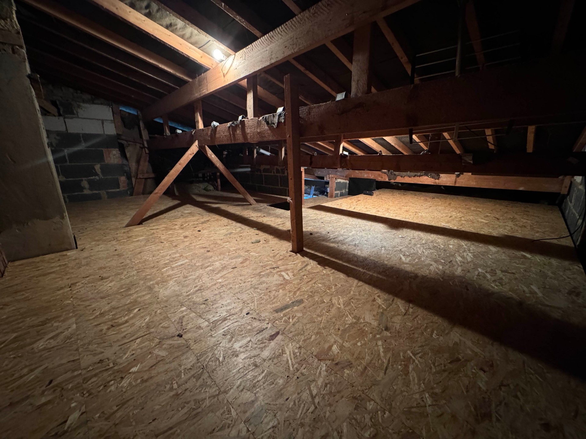 Halstead — Friends Loft Project